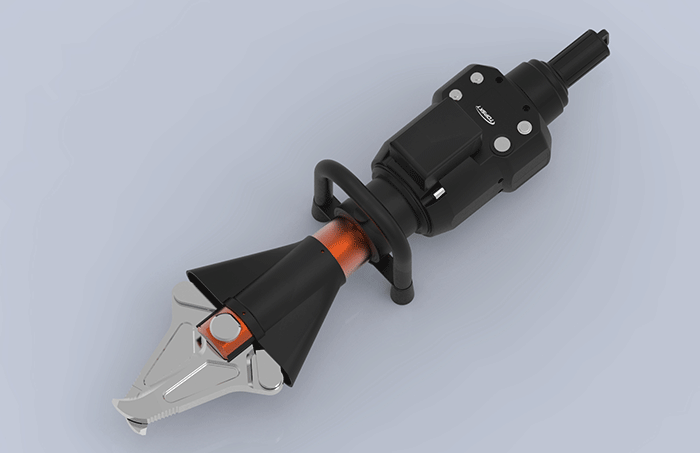 美女的隐藏部位是什么图片