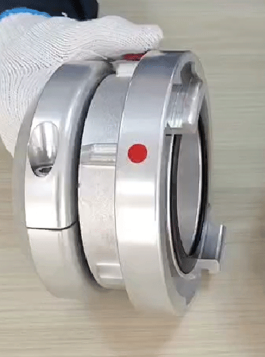 美女的隐藏部位是什么图片