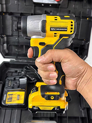 美女的隐藏部位是什么图片