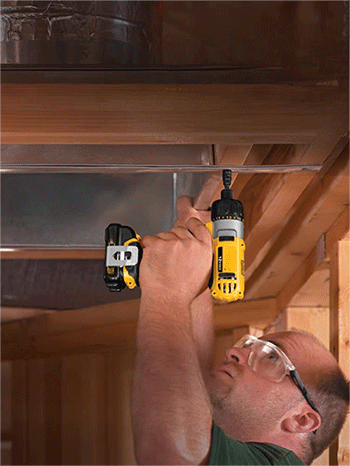 美女的隐藏部位是什么图片