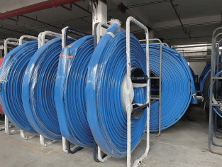 美女的隐藏部位是什么图片