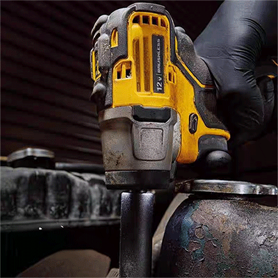 美女的隐藏部位是什么图片