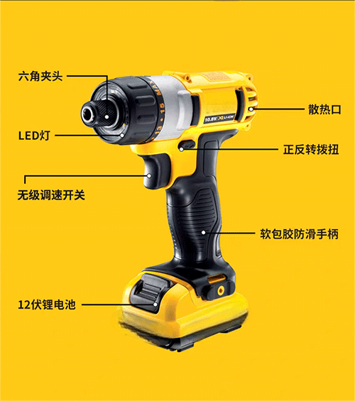 美女的隐藏部位是什么图片