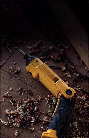 美女的隐藏部位是什么图片