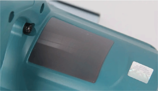 美女的隐藏部位是什么图片