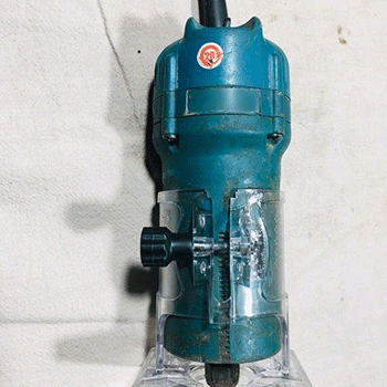 美女的隐藏部位是什么图片