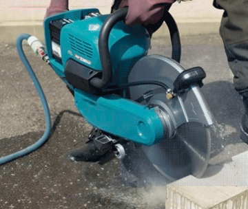 美女的隐藏部位是什么图片