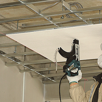 美女的隐藏部位是什么图片