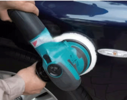 美女的隐藏部位是什么图片