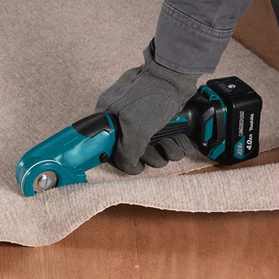 美女的隐藏部位是什么图片