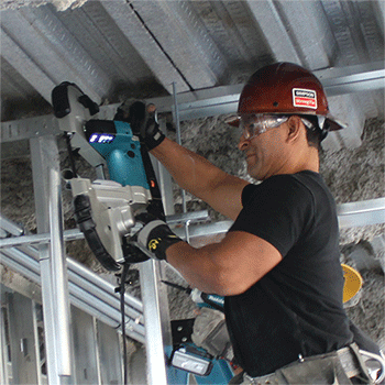 美女的隐藏部位是什么图片