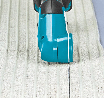 美女的隐藏部位是什么图片