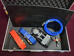 美女的隐藏部位是什么图片