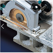 美女的隐藏部位是什么图片