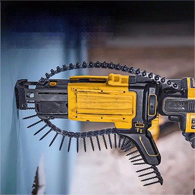 美女的隐藏部位是什么图片