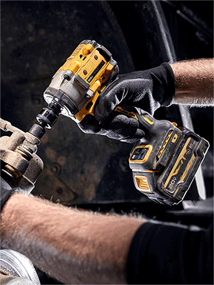 美女的隐藏部位是什么图片