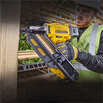 美女的隐藏部位是什么图片