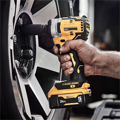 美女的隐藏部位是什么图片