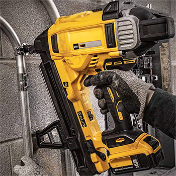 美女的隐藏部位是什么图片