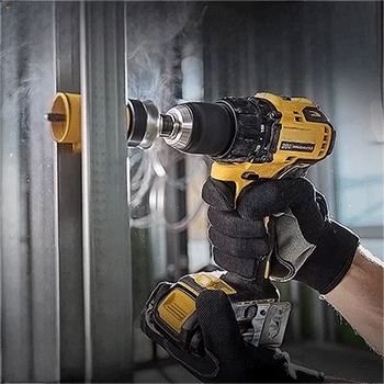 美女的隐藏部位是什么图片