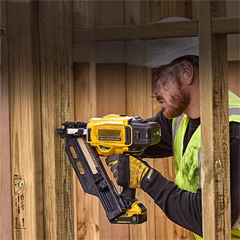 美女的隐藏部位是什么图片