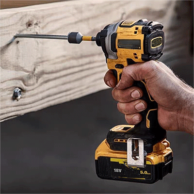 美女的隐藏部位是什么图片