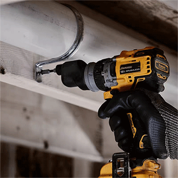 美女的隐藏部位是什么图片