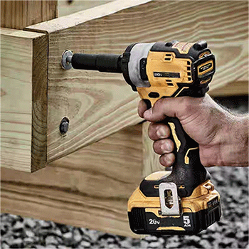 美女的隐藏部位是什么图片