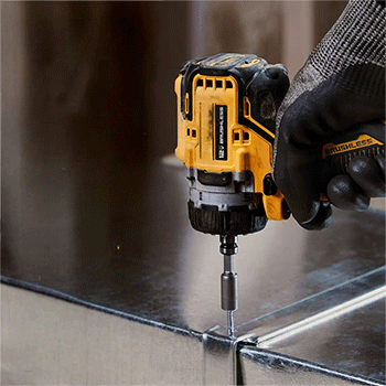 美女的隐藏部位是什么图片