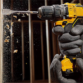 美女的隐藏部位是什么图片