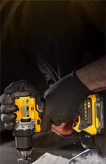 美女的隐藏部位是什么图片