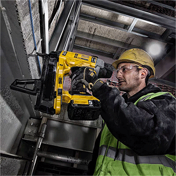 美女的隐藏部位是什么图片