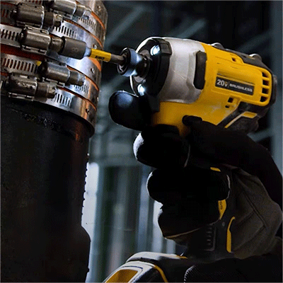 美女的隐藏部位是什么图片