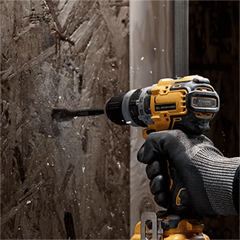 美女的隐藏部位是什么图片