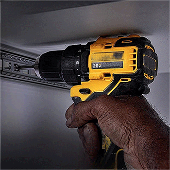 美女的隐藏部位是什么图片