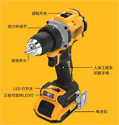 美女的隐藏部位是什么图片