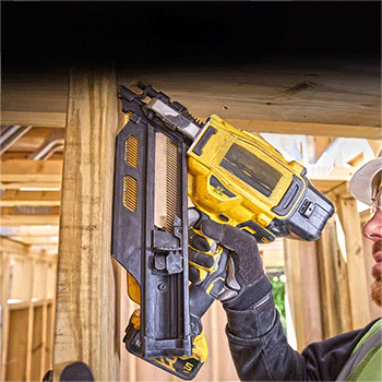 美女的隐藏部位是什么图片