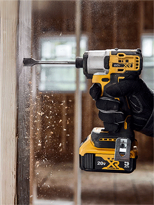 美女的隐藏部位是什么图片