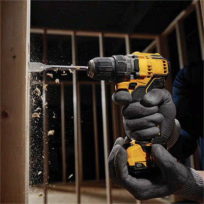 美女的隐藏部位是什么图片