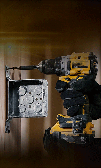 美女的隐藏部位是什么图片