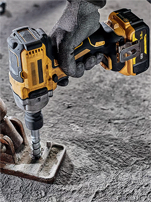 美女的隐藏部位是什么图片