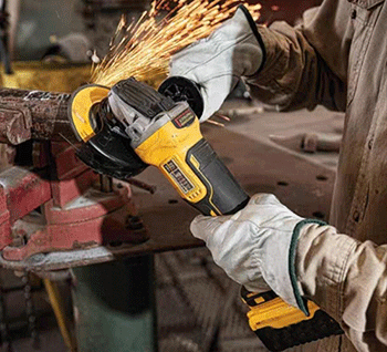 美女的隐藏部位是什么图片