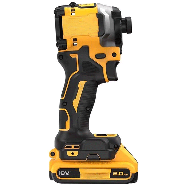 美女的隐藏部位是什么图片