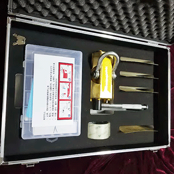 美女的隐藏部位是什么图片