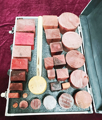 美女的隐藏部位是什么图片