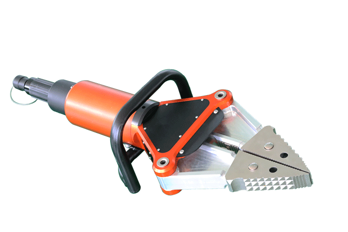 美女的隐藏部位是什么图片