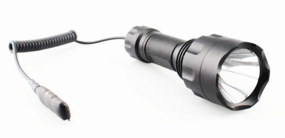 美女的隐藏部位是什么图片