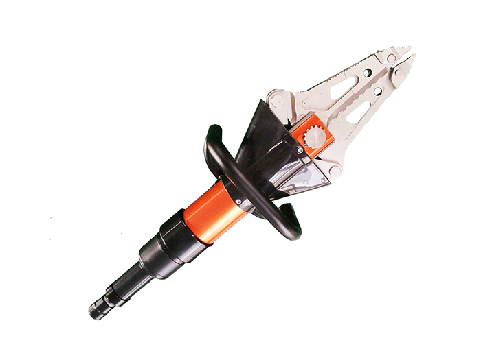 美女的隐藏部位是什么图片