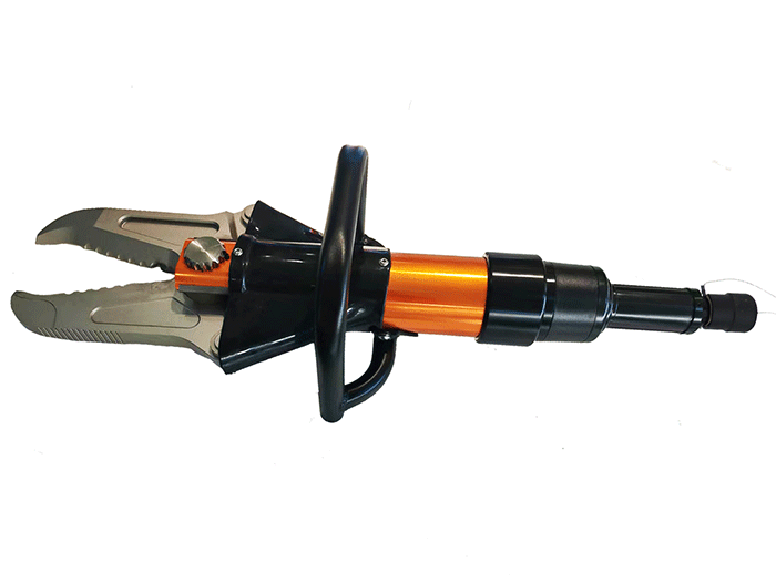 美女的隐藏部位是什么图片