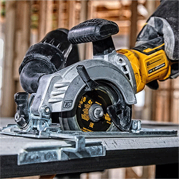 美女的隐藏部位是什么图片